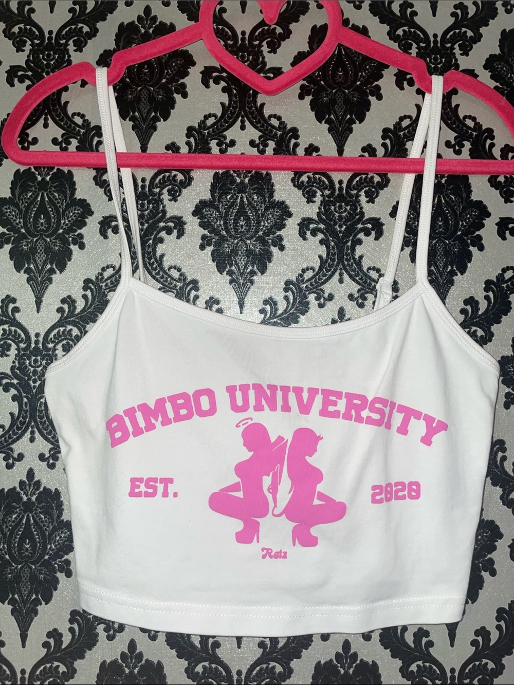 Bimbo University top